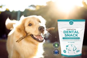 Hond met stokje in mond naast hem is een pakje Premium Dental Snack van Anicare