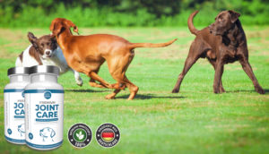 Anicare Premium Joint Care